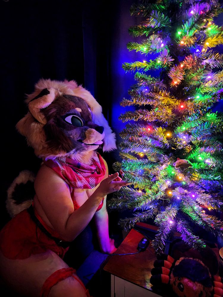 Me wearing my canine fursuit head in lingerie looking at a small Christmas tree