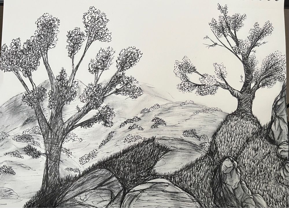 Two trees on a hill, one on each side of a hill, overlooking mountains in the distance covered in clumps of foliage.