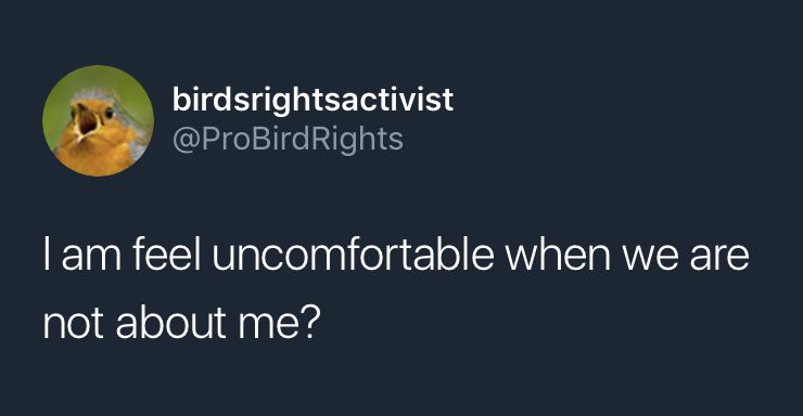 meme from twitter account “birdsrightsactivist” saying “i feel uncomfortable when we are not about me?”