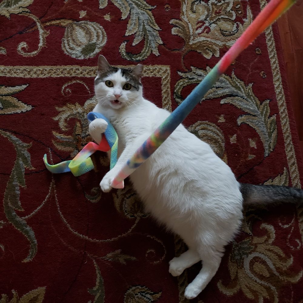 a white and brown tabby cat playing with a pastel rainbow felt ribbon, laying on a red and cream floral rug