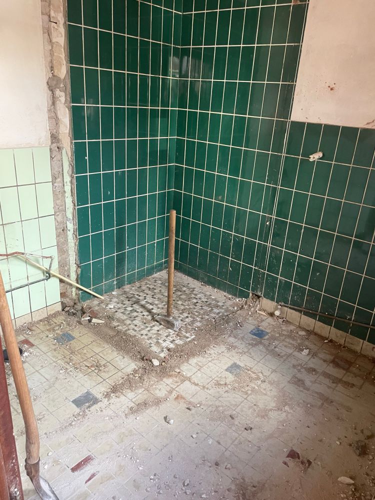 A pic of my half demolished bathroom 