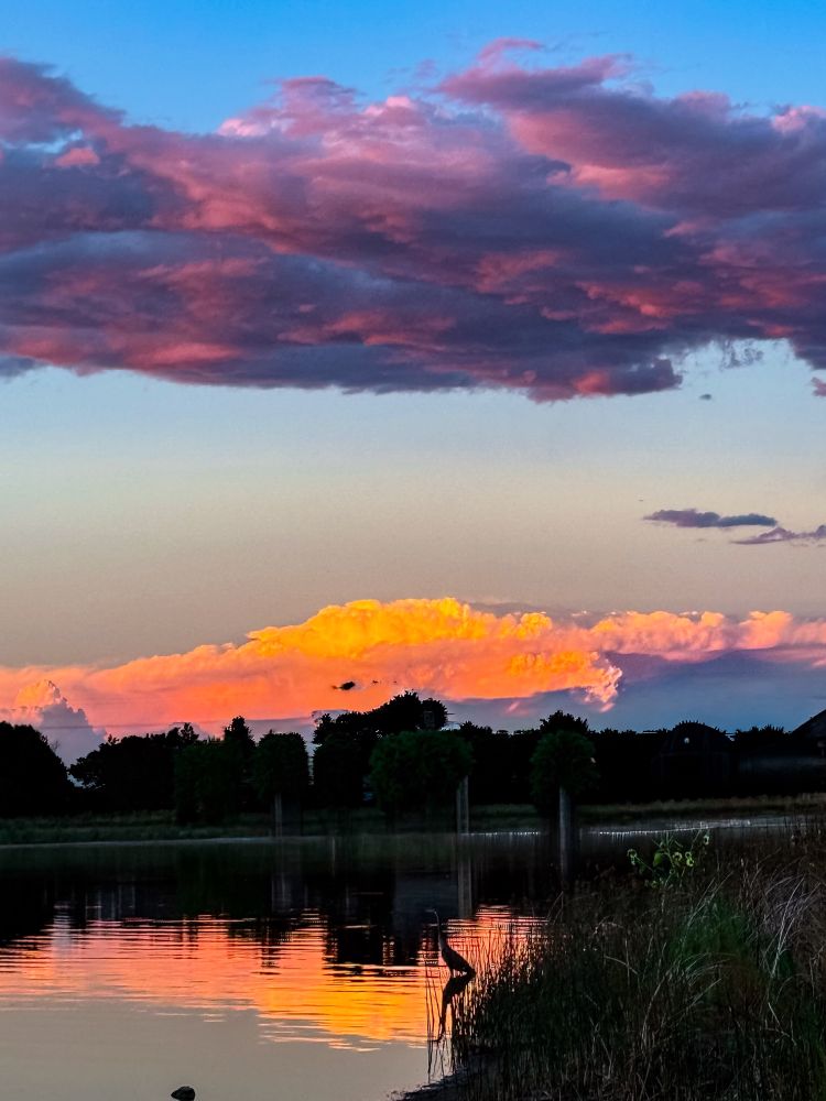 A serene Colorado lake at sunset with a blue heron in the foreground. Behind it, a billowing cumulus cloud rises above the tree line, glowing with orange and yellow light. Dark clouds streaked with violet tones frame the scene, contrasting against the fading blue sky as night sets in. Reflections shimmer on the water, capturing the play of light, shadow, and vibrant color across the landscape. A moment of nature’s artistry—sky, water, bird, and horizon all alive in evening glow.

Colorado, photography, sky, sunset, reflection, blue heron, birds, nature, outdoors, photo, lake, clouds, cumulus, orange sky, yellow sky, violet clouds, twilight, dusk, evening light, horizon, trees, water reflection, wildlife, landscape, scenic, colorful sky, nature photography, Colorado sunset, cloudscape, dramatic sky