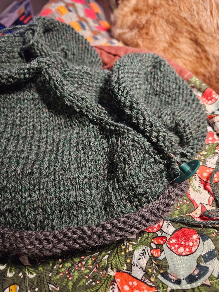 Picture of hand knit sweater in green and grey wool against a woodland mushroom print project bag with a sleeping Carolina dog in the background 