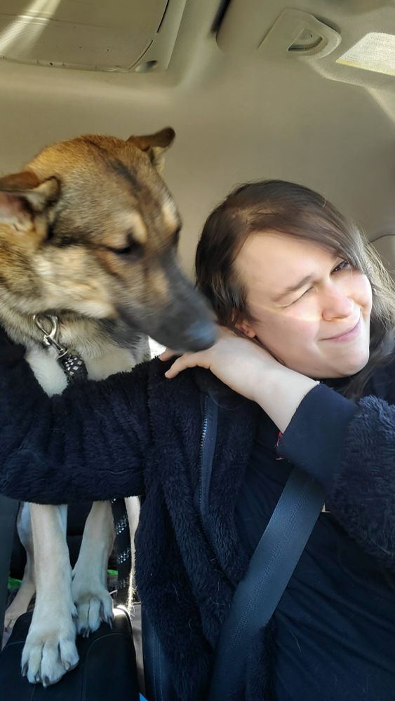 Sunny the German Shepherd and I in the car. 