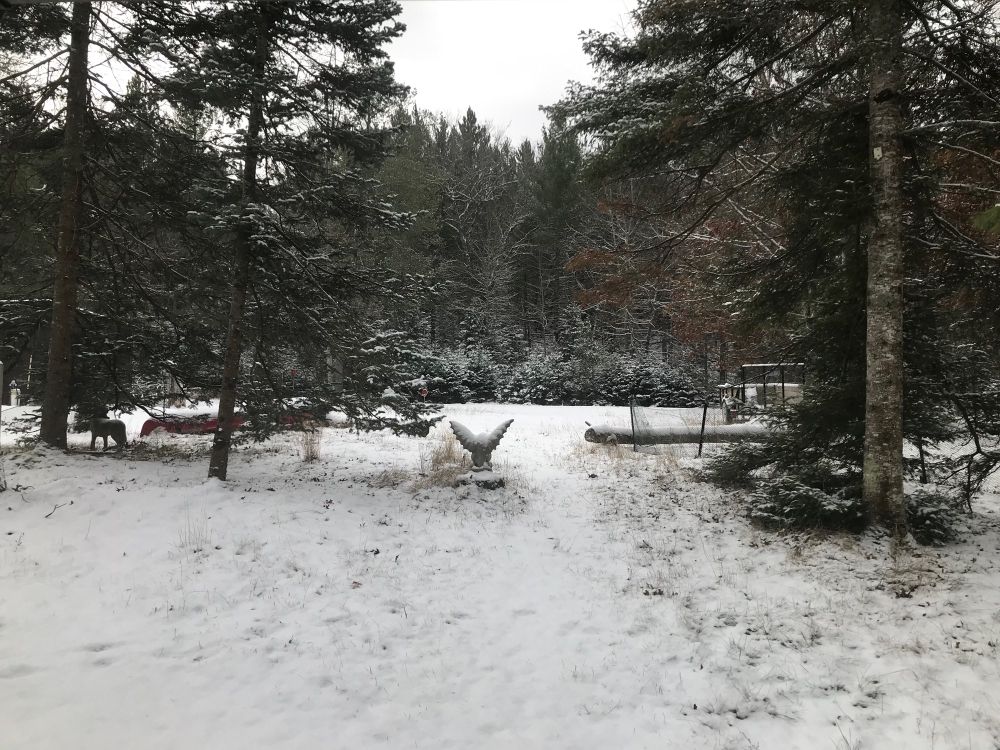 Snow in a forest clearings 