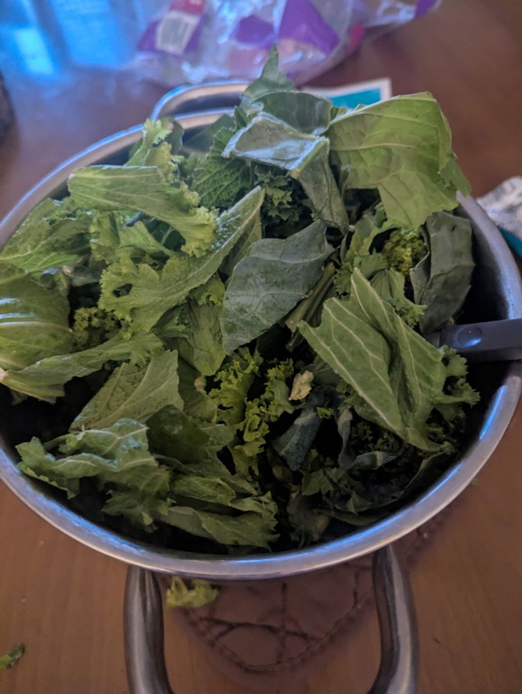Picture of one sad bowl of greens. 