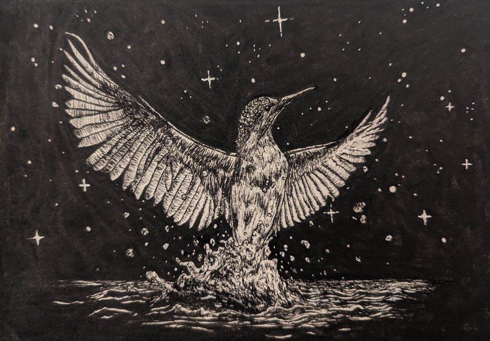 A kingfisher emerges from the water, wings outspread, under a starlit sky.