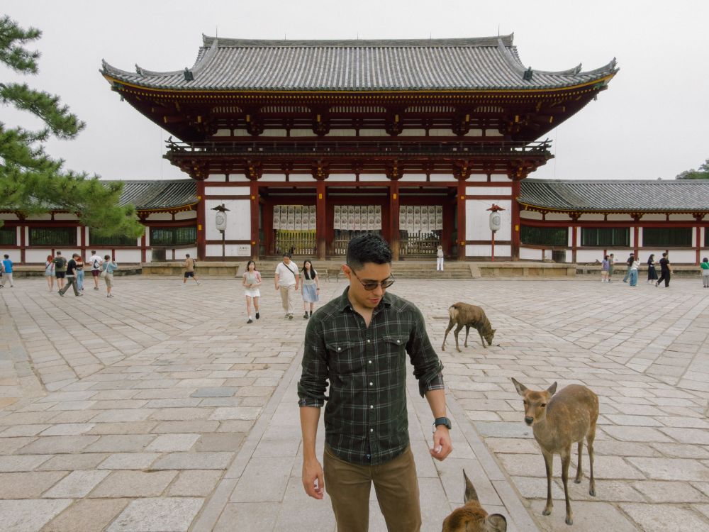 A picture of me being interrupted by some tiny deer in Nara 
