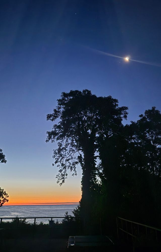 Blick aus einem Fenster. Sonnenaufgang mit rotem Farbstreifen am Horizont über dem Meer, am dunkelblauen Himmel noch Mond und Sterne. Im Dunkeln im Vordergrund sieht man Bäume und eine Terrasse. 
