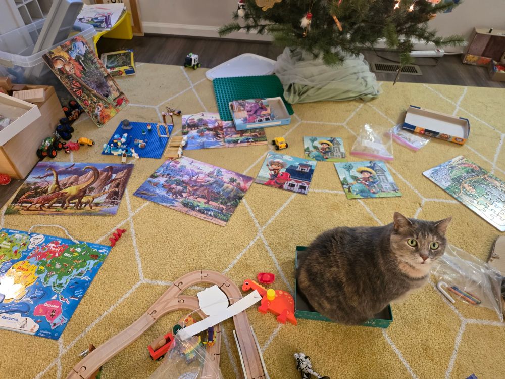 A cat sitting in a puzzle box lid, surrounded by completed puzzles, Legos, and a wooden train set