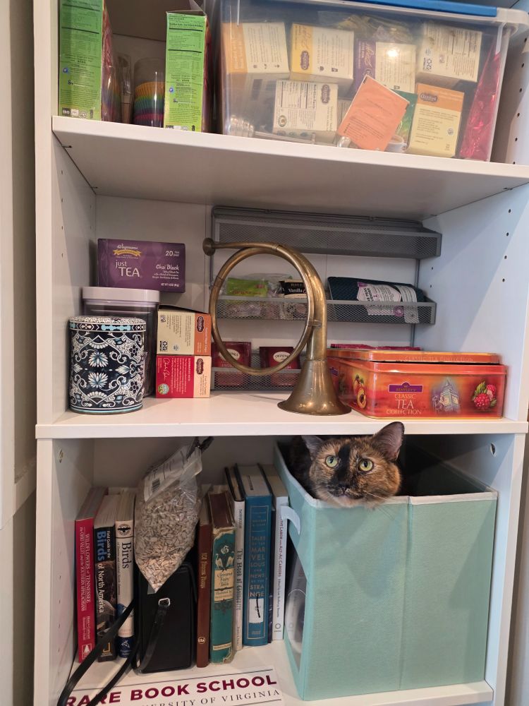 Picture of a bookshelf with tea and books on it. A cat is sticking her head out of a cloth box on the lower shelf.