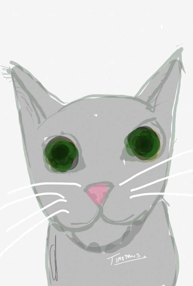 Grey cat with green eyes and big white whiskers.
Hand drawn.