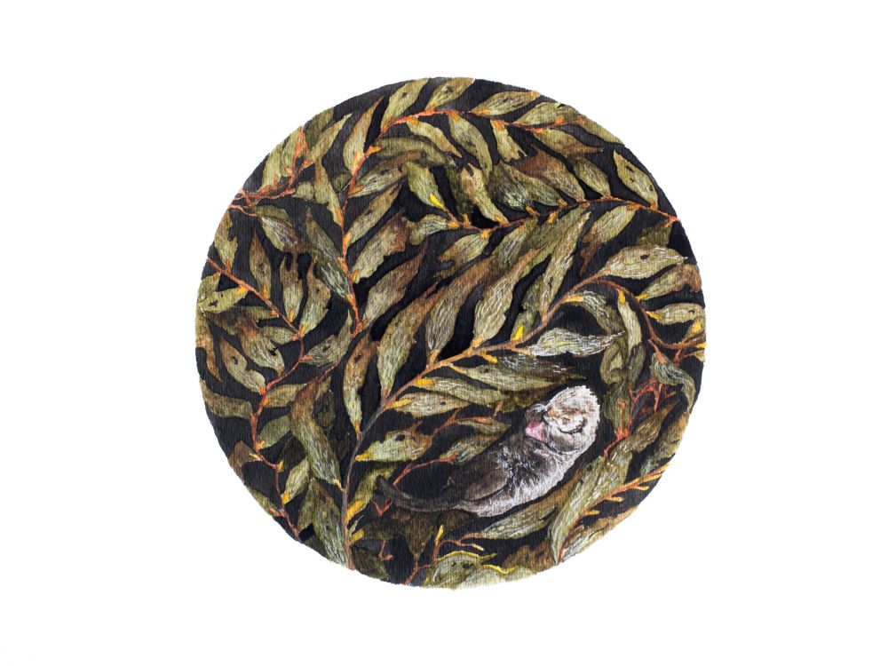 Watercolor illustration of a sea otter in kelp