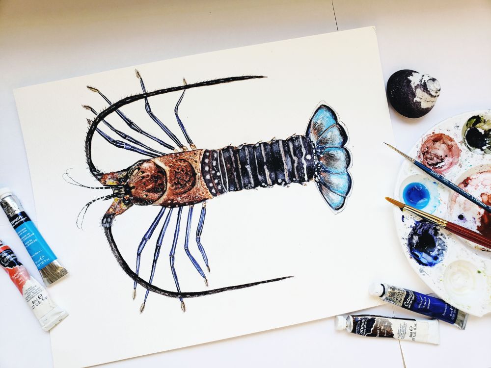 Watercolor illustration of a spiny lobster with paint materials surrounding the art piece