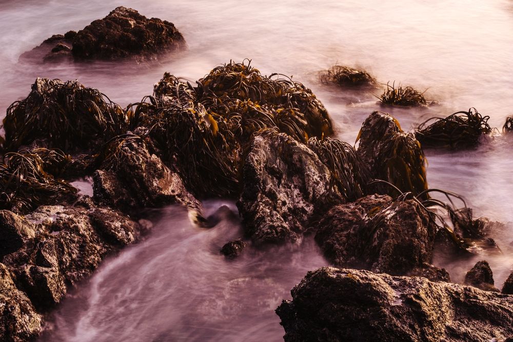 Long exposure photo of the intertidal zone