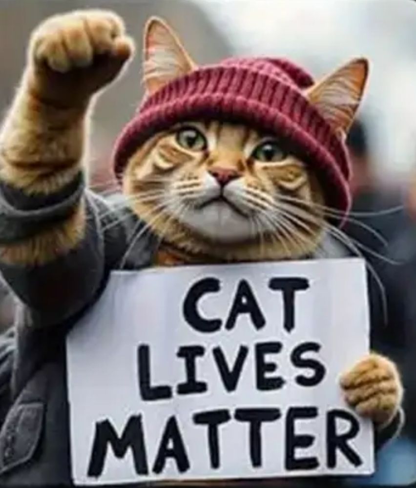 A humanized cat wearing a coat and a red beanie while holding a cat lives matter sign.