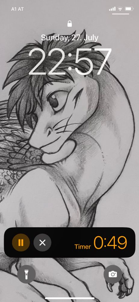 A screenshot of a phone lock screen.

The background image is a black and white drawing of a dragon character with dark messy hair and feathered wings.
The dragon has whiskers and looks off to the left side with a smile.

The background image was made by tearraven.

The lockscreen shows the day as Sunday, 27th of July.
The time shows 10 PM, 57 minutes.

On the bottom of the screen is a timer showing 0 minutes and 49 seconds remaining.