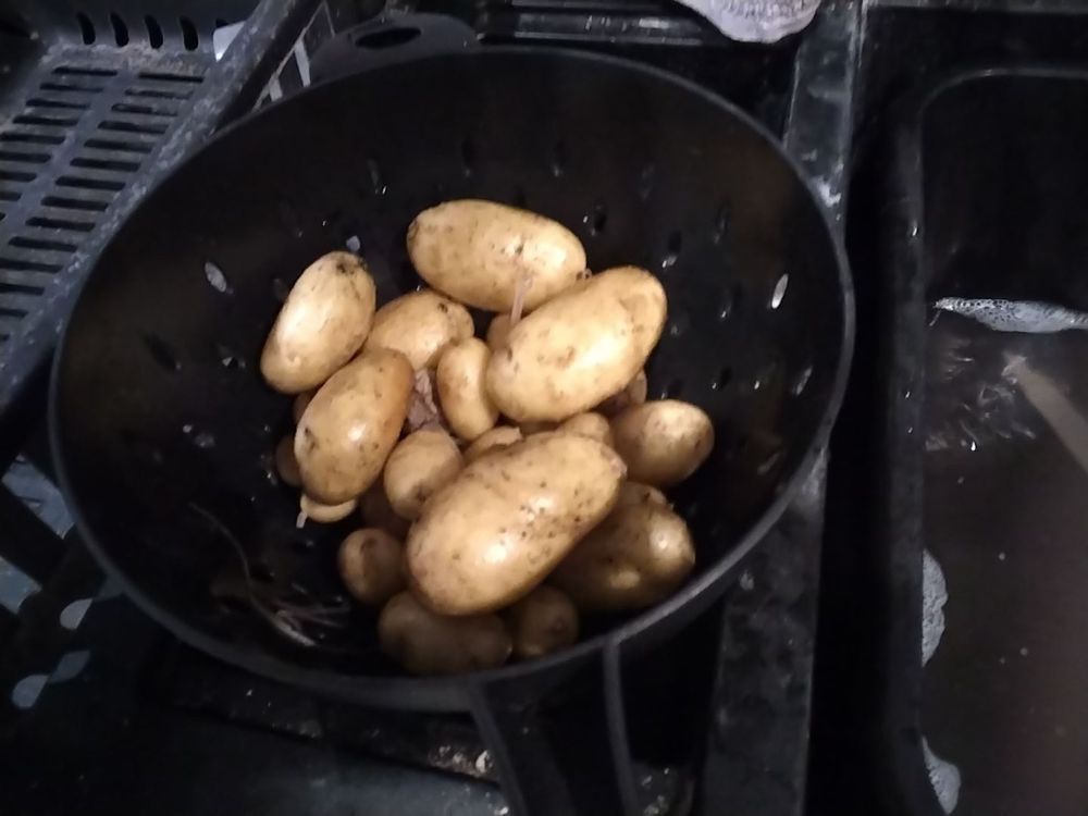Photo of colander containing new potatoes from our garden
