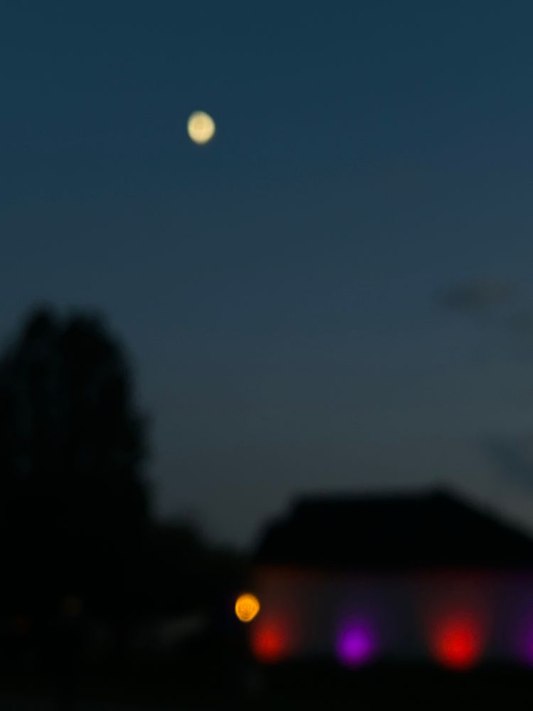 Blurred photo of the moon, trees, and an illuminated house at dusk 