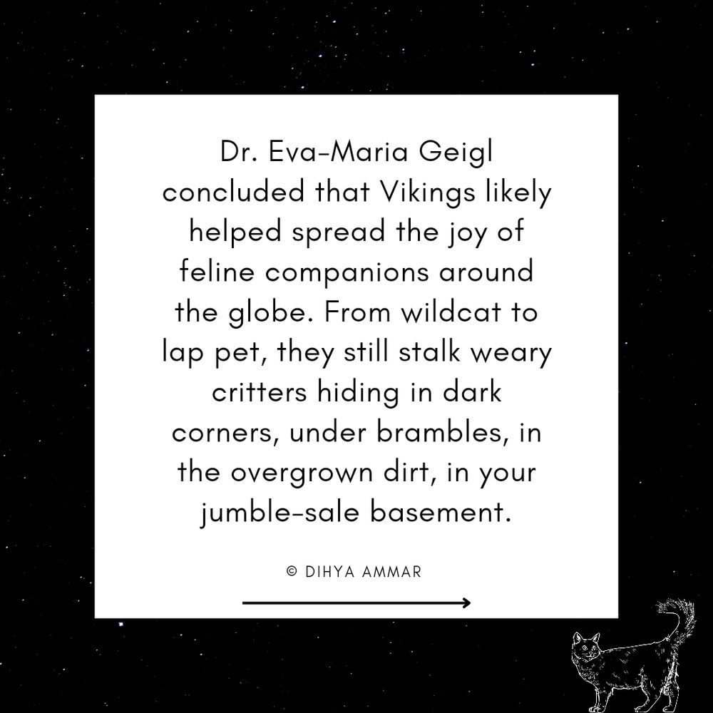 Dr. Eva-Maria Geigl concluded that Vikings likely helped spread the joy of feline companions around the globe. From wildcat to lap pet, they still stalk weary critters hiding in dark corners, under brambles, in the overgrown dirt, in your jumble-sale basement.