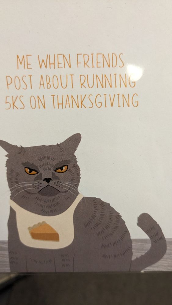 A greeting card of an annoyed grey cat wearing a bib with a piece of pie. The text is "me when my friends post about running a 5k on Thanksgiving"