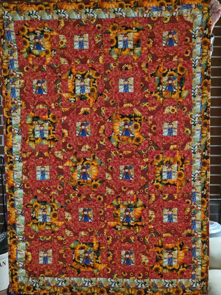 Halloween quilt 3 yard quilt challenge. 