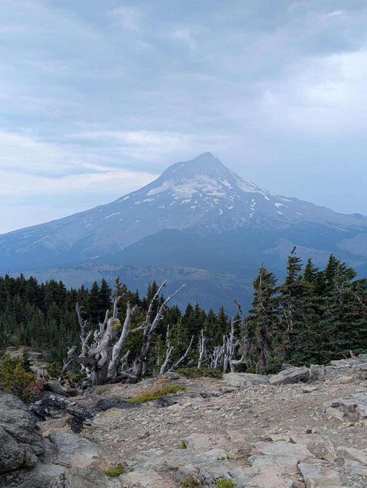 A photo of Mt. Hood, viewed from the east. There's only a little snow on it, and it's mostly grey, especially because the sky is hazy. The foreground features a rocky flat area, some bare white tree trunks, and fir trees.