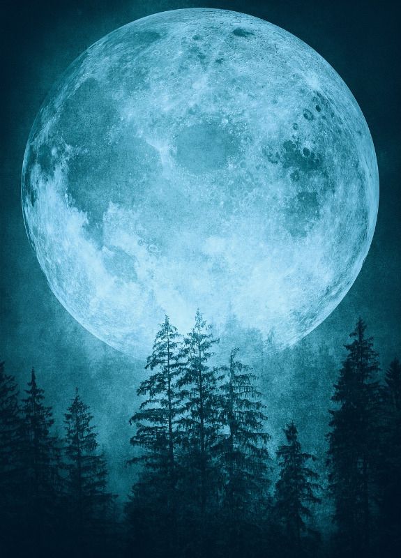 A large, luminous full moon casts an ethereal blue glow across the night sky, illuminating the tops of tall, silhouetted pine trees below. The scene has a mystical, frosty quality, evoking the quiet and chill of a cold winter’s night.