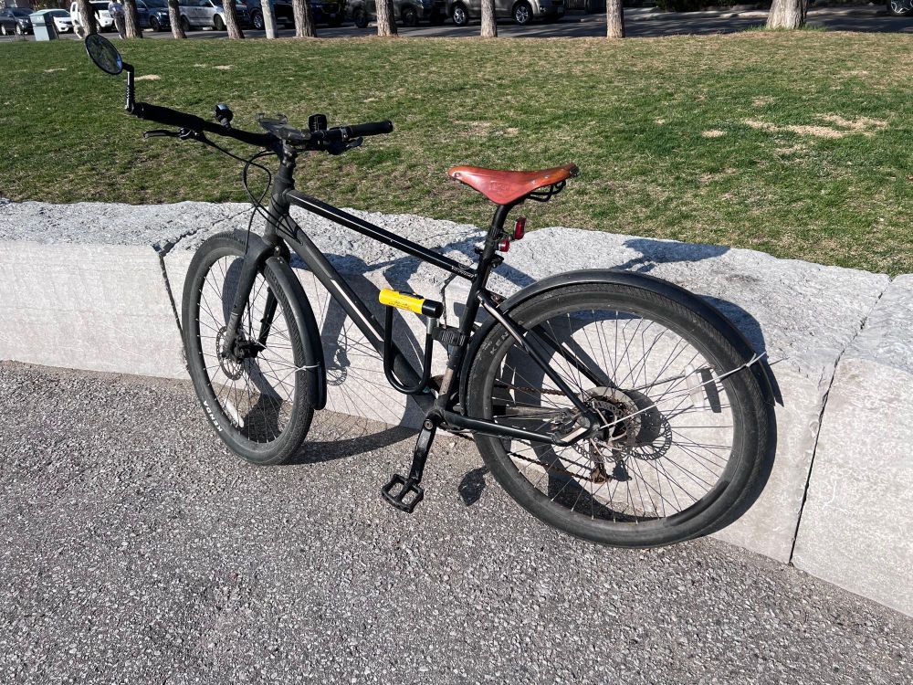 A black De Vinci bike leaning on a stone wall in a park