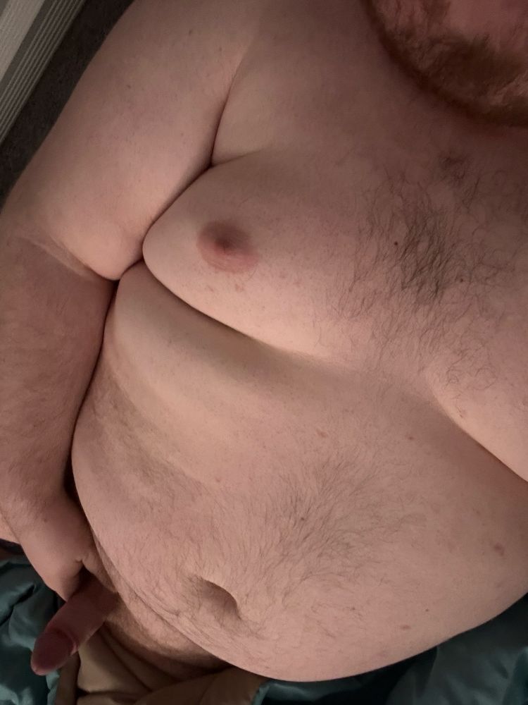 Nude photo of a ginger bear holding his erect cock