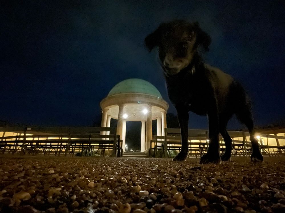 Eaton Park’s bandstand from a low angle with a black dog in the foreground 

PS Fuck Farage, fuck Trump, fuck Putin, and fuck Netanyahu 