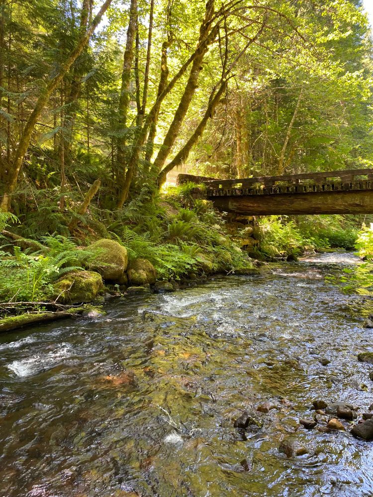 A bridge over a creek on Mt. Hood.
