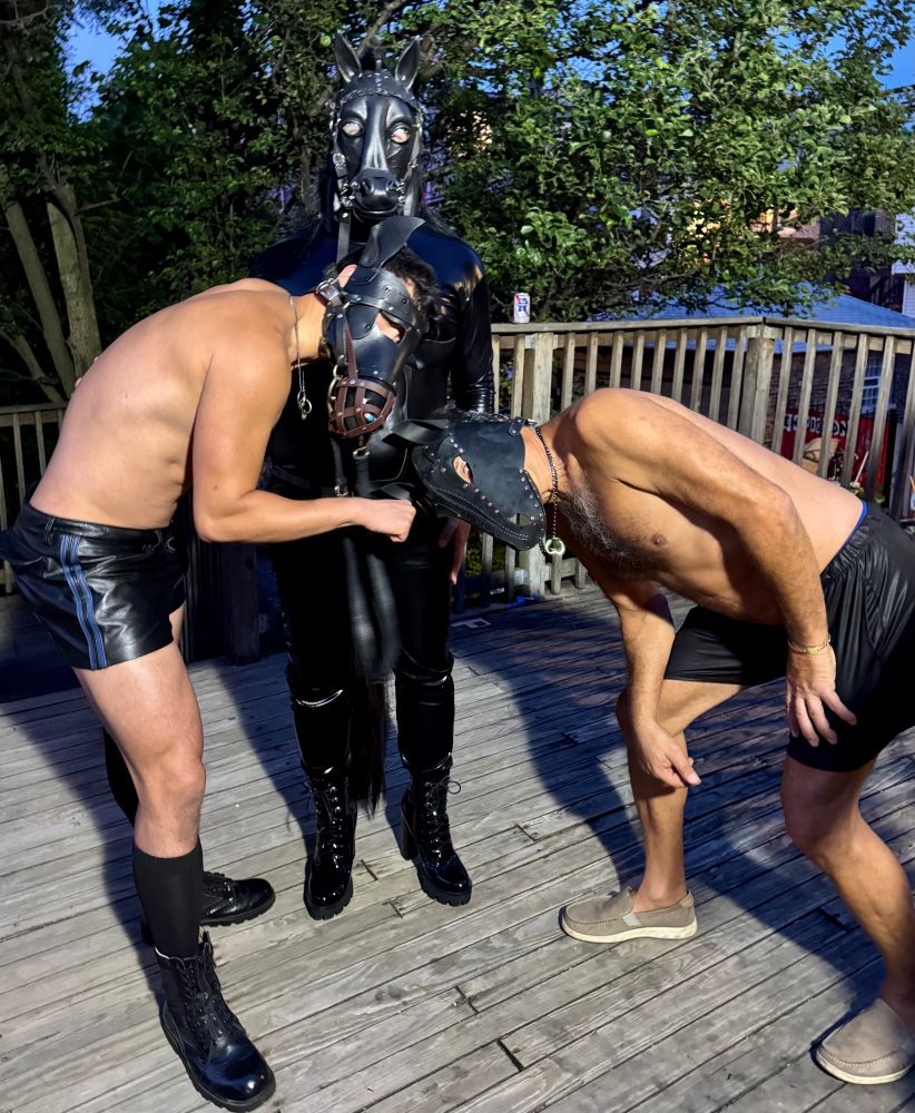 Three pony boys posing for a photo: they each adore a different set of gear, ranging from shiny latex to polished leather