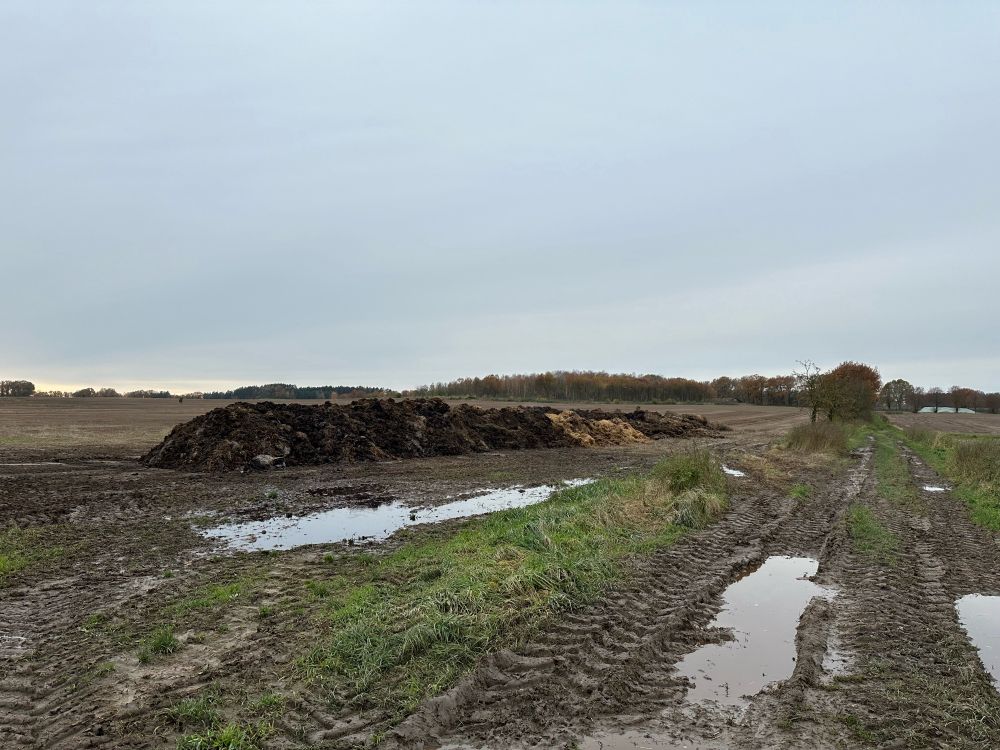 Auf dem Bild ist ein Acker zu sehen mit einem riesigen Misthaufen. Im Vordergrund sind zwei Pfützen in den Reifenspuren von Traktoren.