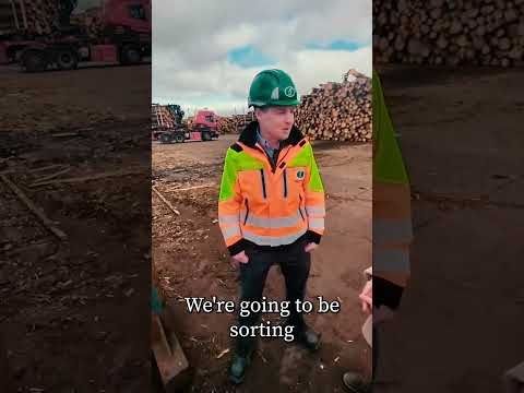 What is going to happen to all these logs?