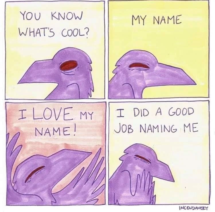 a meme