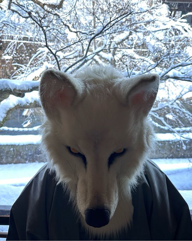 Wolf and Snow