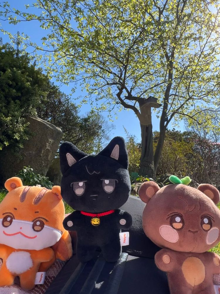 Aniteez mini plushies: Jjoongrami, Wooyonyang and Jjongbear taking a group photo in a park.
