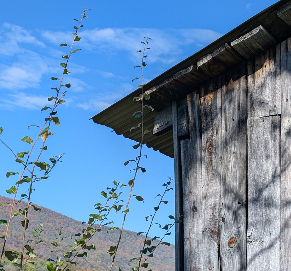 Old barn corner roof and blue sky 