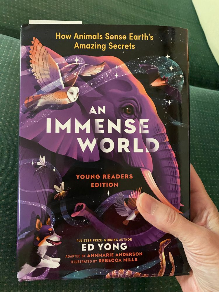 Front cover of An Immense World:  Young Readers Edition, by Ed Yong