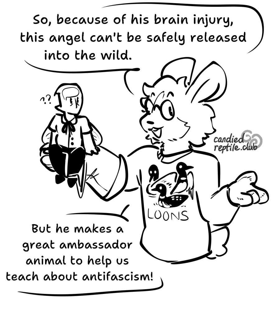 victor('s fursona) using a falconry glove and jesses to hold up a palm-sized BLANK, who looks quietly bemused. "So, because of his brain injury, this angel can't be safely released into the wild. But he makes a great ambassador animal to help us teach about antifascism!"