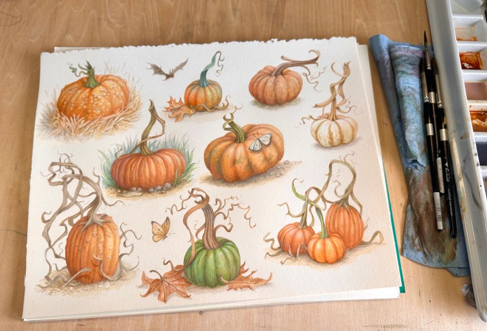 A page of pumpkin studies
