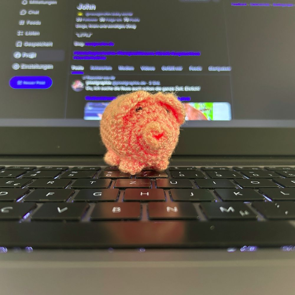 Das Bild zeigt ein kleines, rosa gehäkeltes Schwein, das auf der Tastatur eines Laptops sitzt. Im Hintergrund ist der Laptop-Bildschirm leicht verschwommen zu sehen, auf dem eine Webseite, wahrscheinlich ein Twitter-Profil, angezeigt wird. Die Tastatur ist beleuchtet, und Fokus liegt auf dem Schwein.