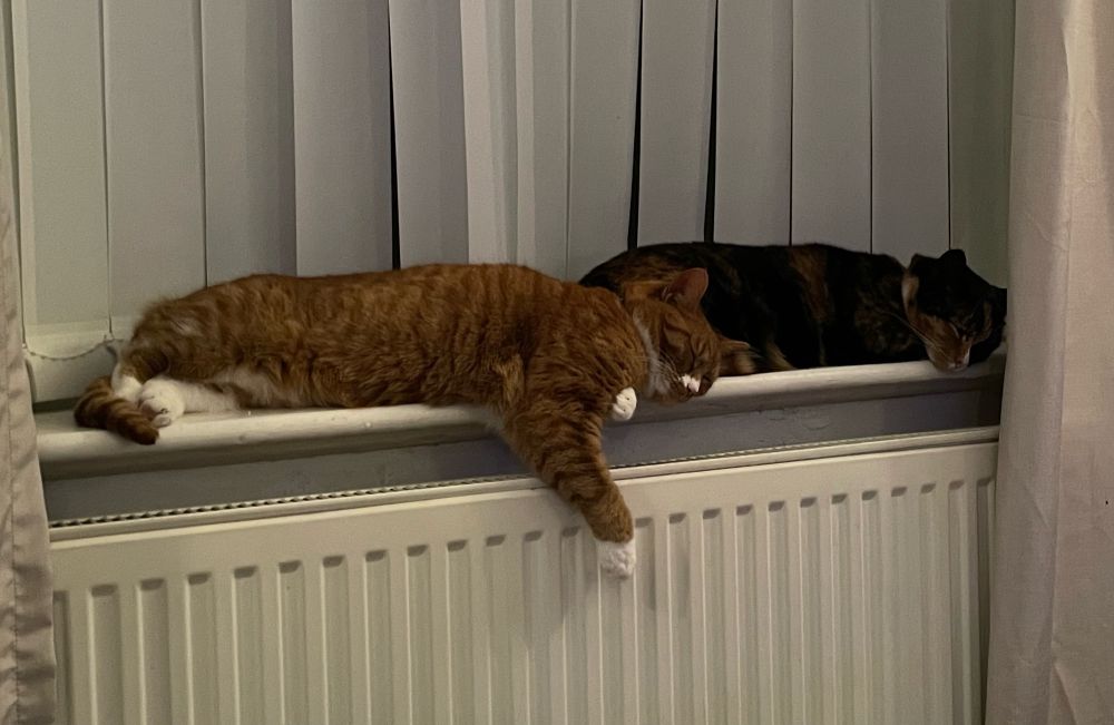 A ginger cat and a calico cat lying spread across a windowsill, just above a hot radiator 
