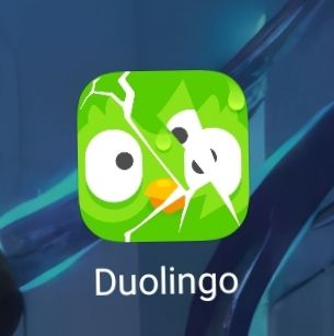 Ícone do aplicativo Duolingo, que é um pássaro verde, mas está todo quebrado e repartido, como se fosse um vidro quebrado