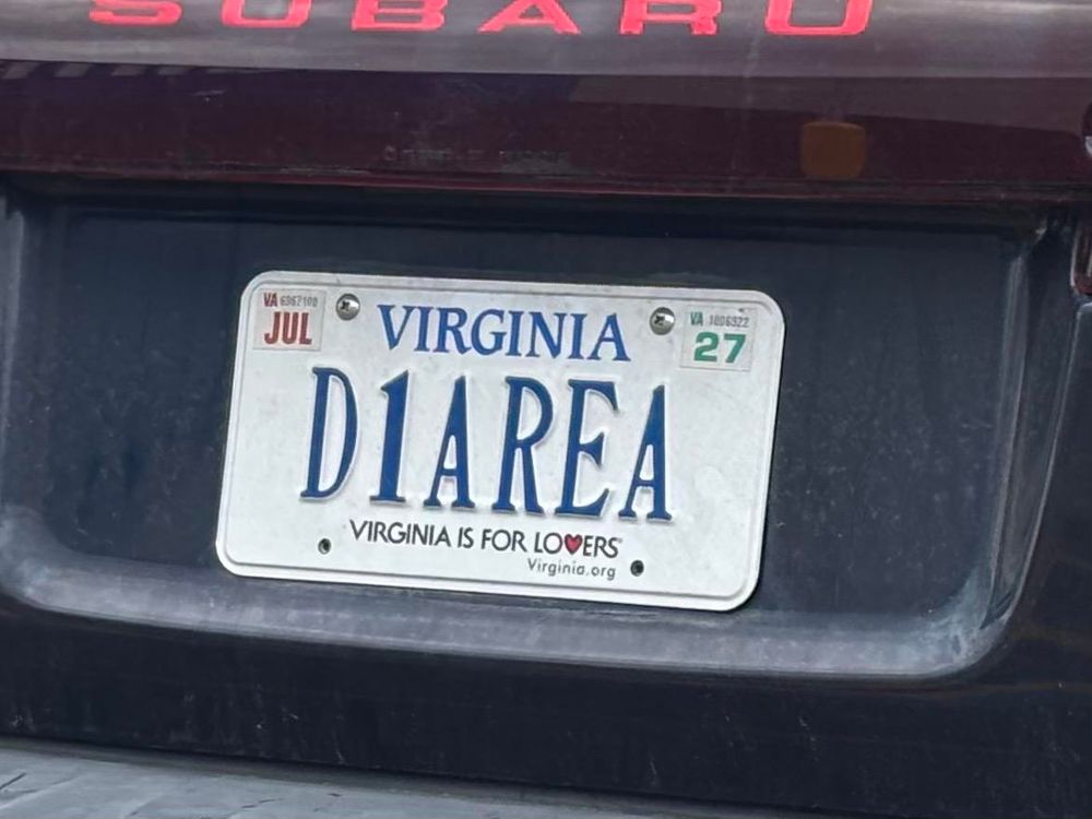 A Virginia license plate reading “D1AREA.”