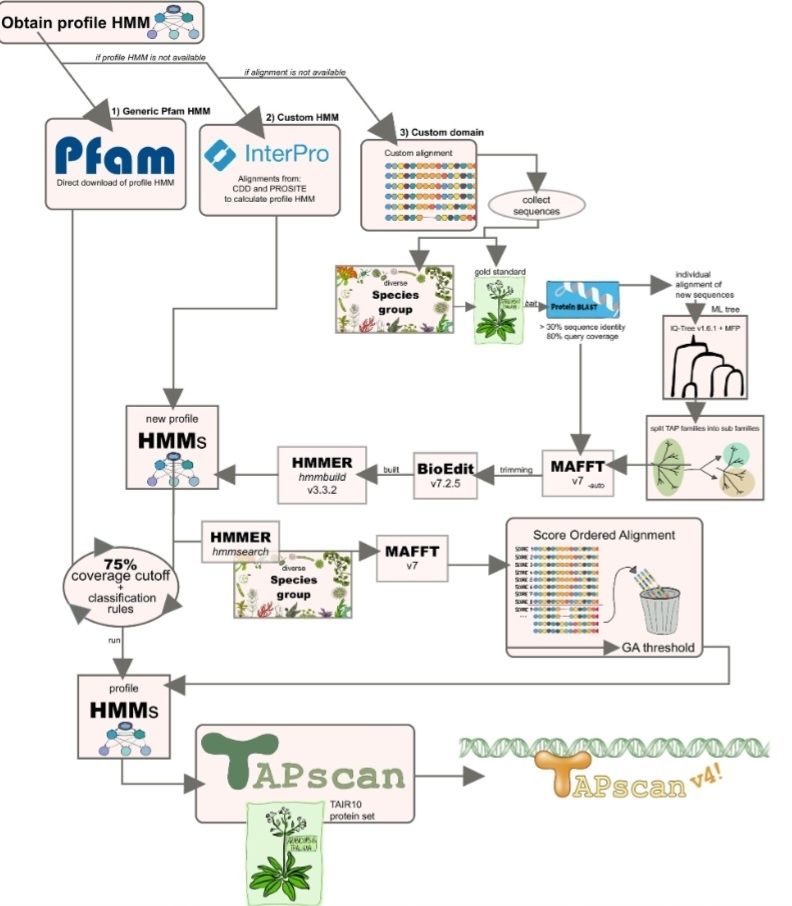 Diagram of the TAPscan v4 workflow 