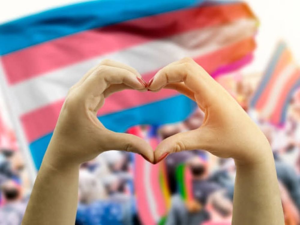 Image shows hands forming heart in from of trans flags at a rally
