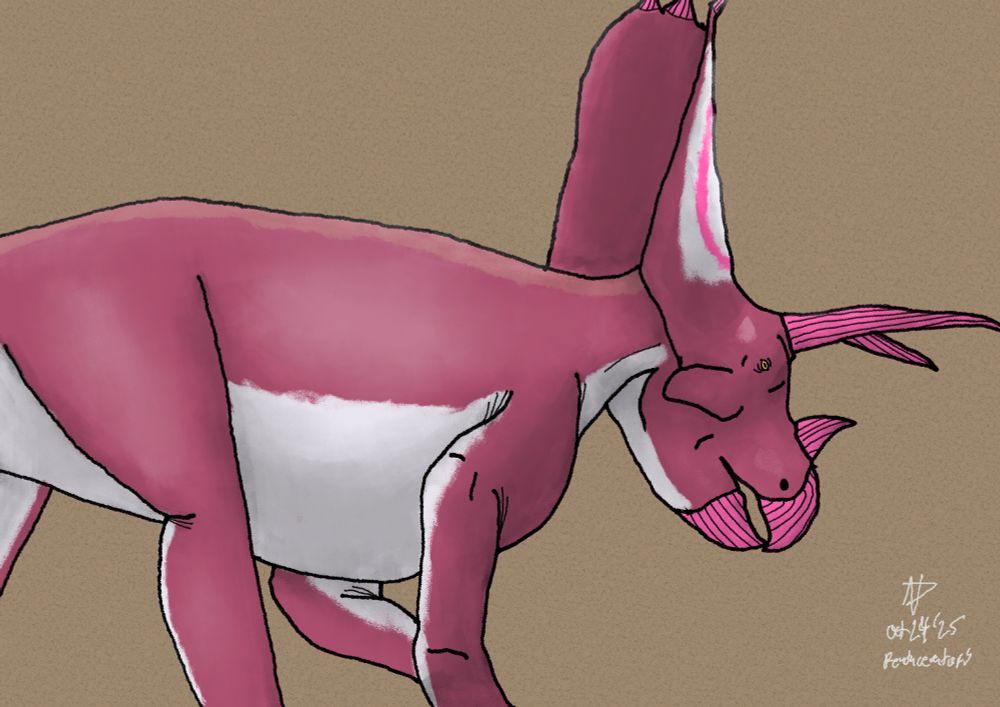 Digital sketch of a magenta and white counter shaded pentaceratops with pink horns and beak on a plain brown background.