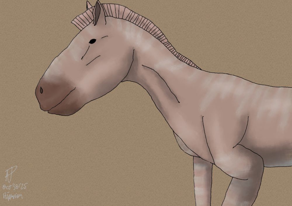 Digital sketch of a redish grey hipparion with pale stripes on a plain brown background. 